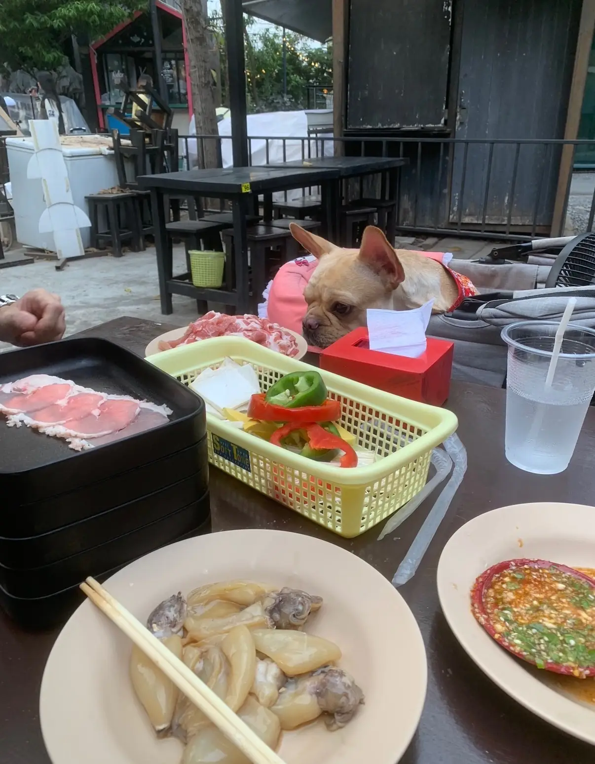 ย่างเนย ช่างชุ่ย pets image 1