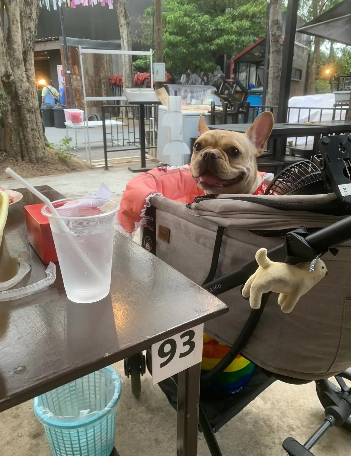 ย่างเนย ช่างชุ่ย pets image 2