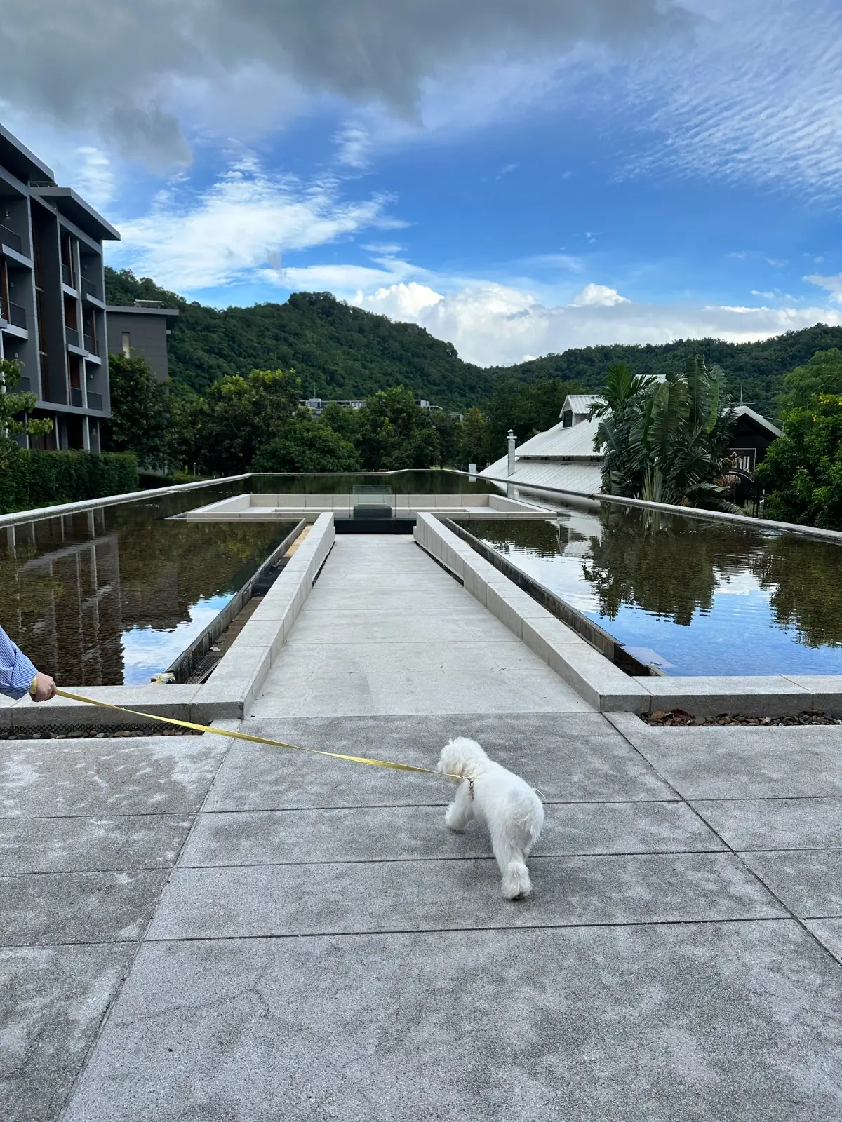 เดอะ เภรี โฮเต็ล เขาใหญ่ amenities image 1