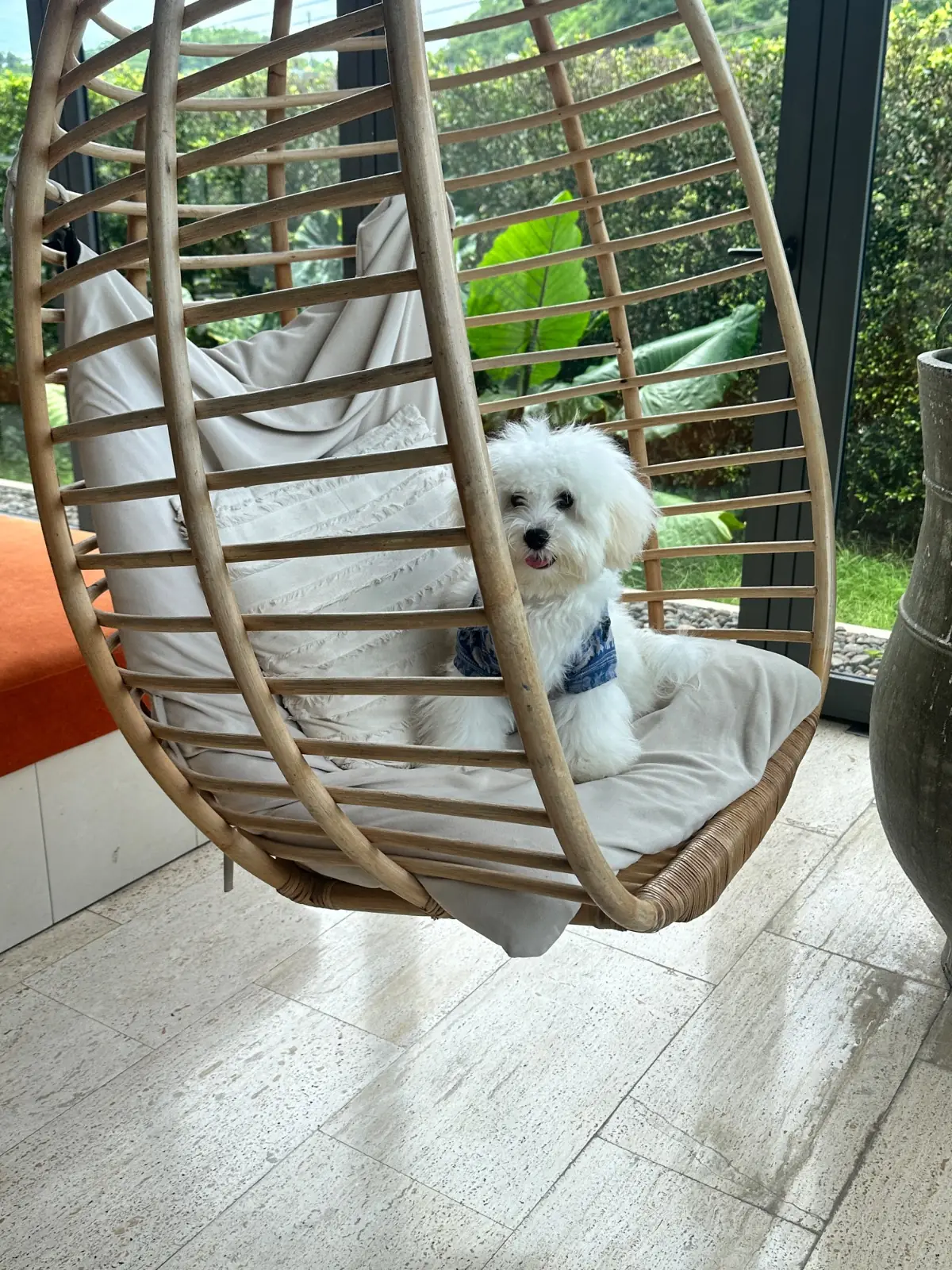 เดอะ เภรี โฮเต็ล เขาใหญ่ pets image 2