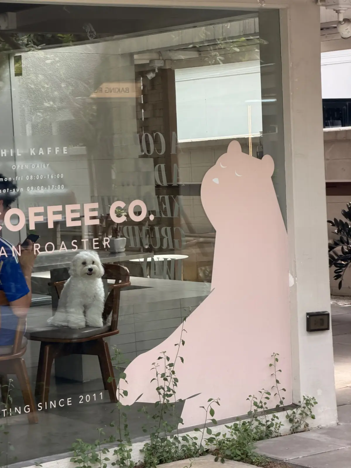 Phil Coffee Co - Rama IX pets image 4