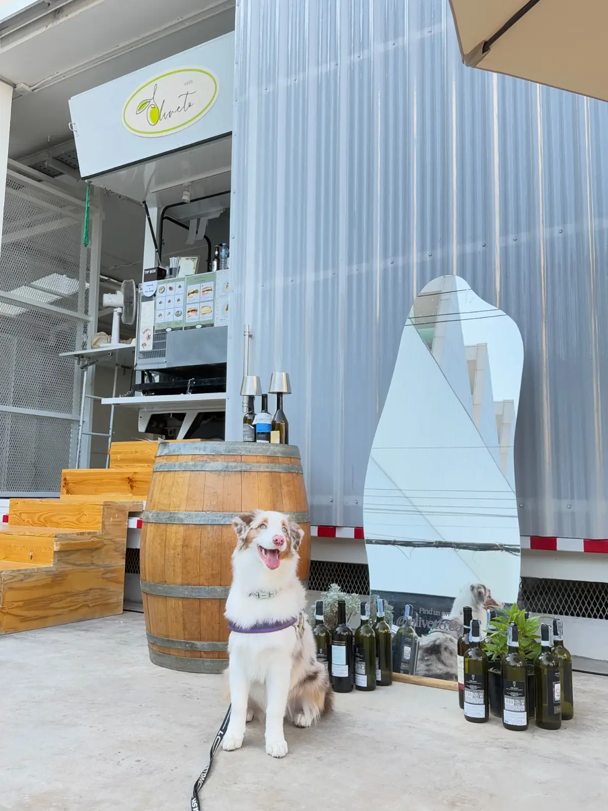 Oliveto Cafe pets image 2