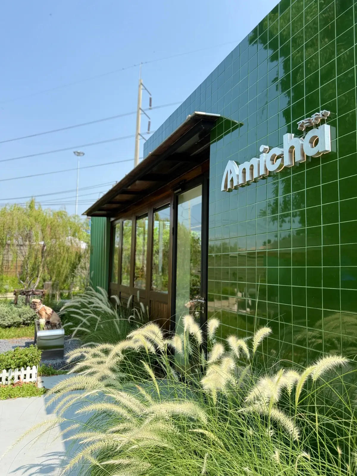 Amicha Matcha Specialty ambiance image 2