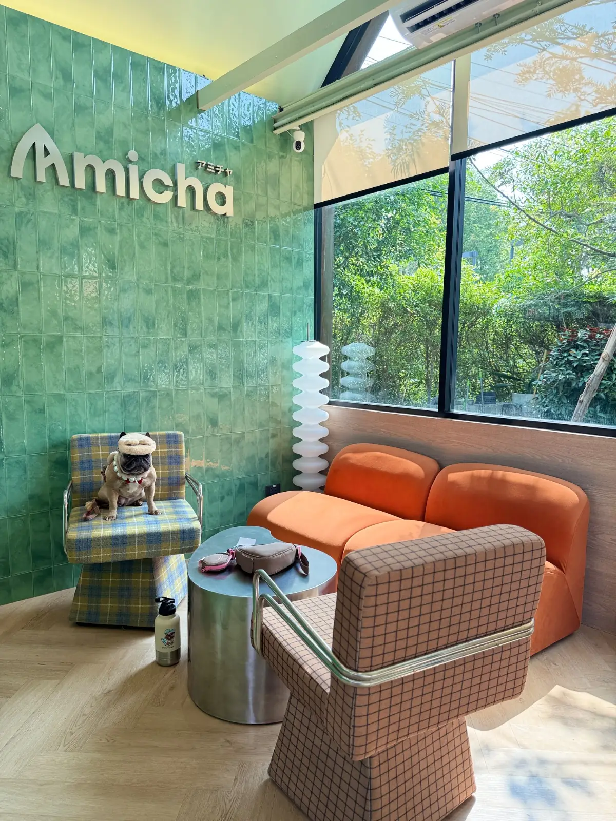 Amicha Matcha Specialty overall image 1