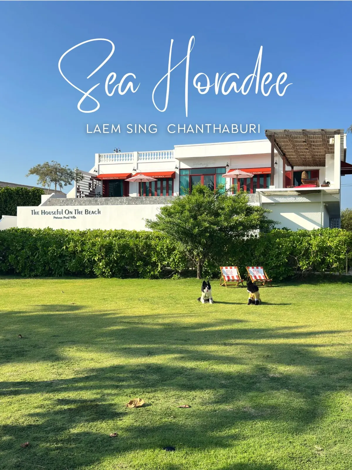 Sea Horadee overall image 1