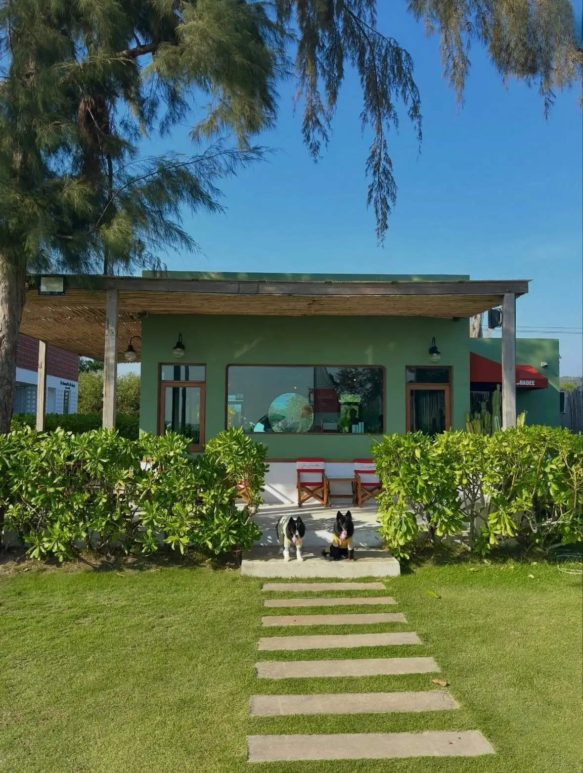 Sea Horadee overall image 2