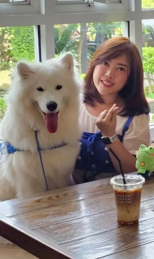 The Kottage Cafe pets image 1