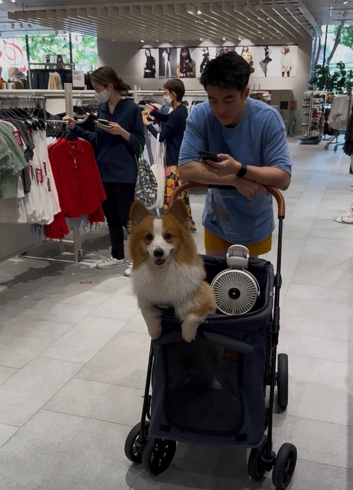 เดอะมอลล์ไลฟ์สโตร์ บางแค pets image 2