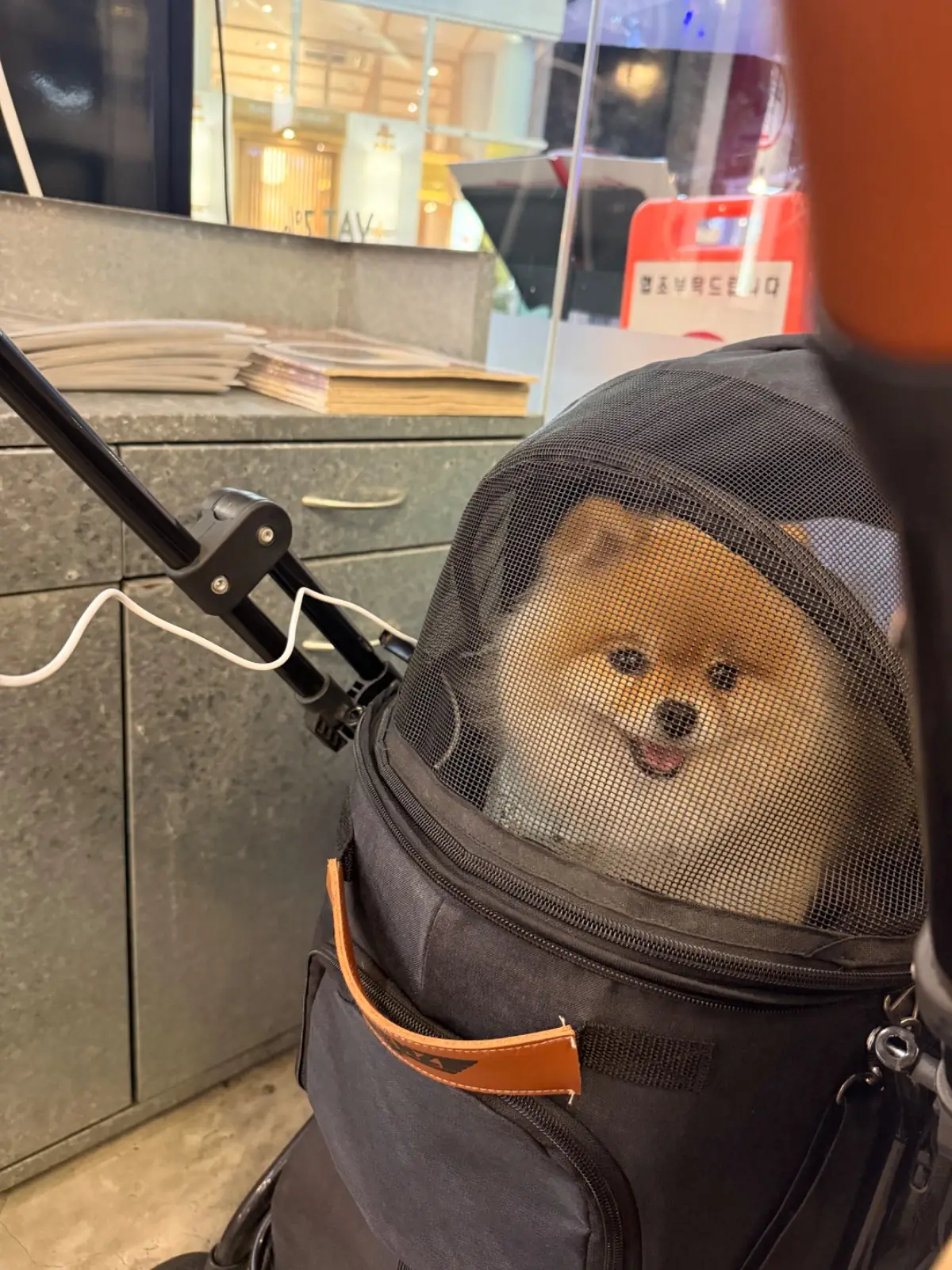 Jaguemsong - Mega Bangna other image 2