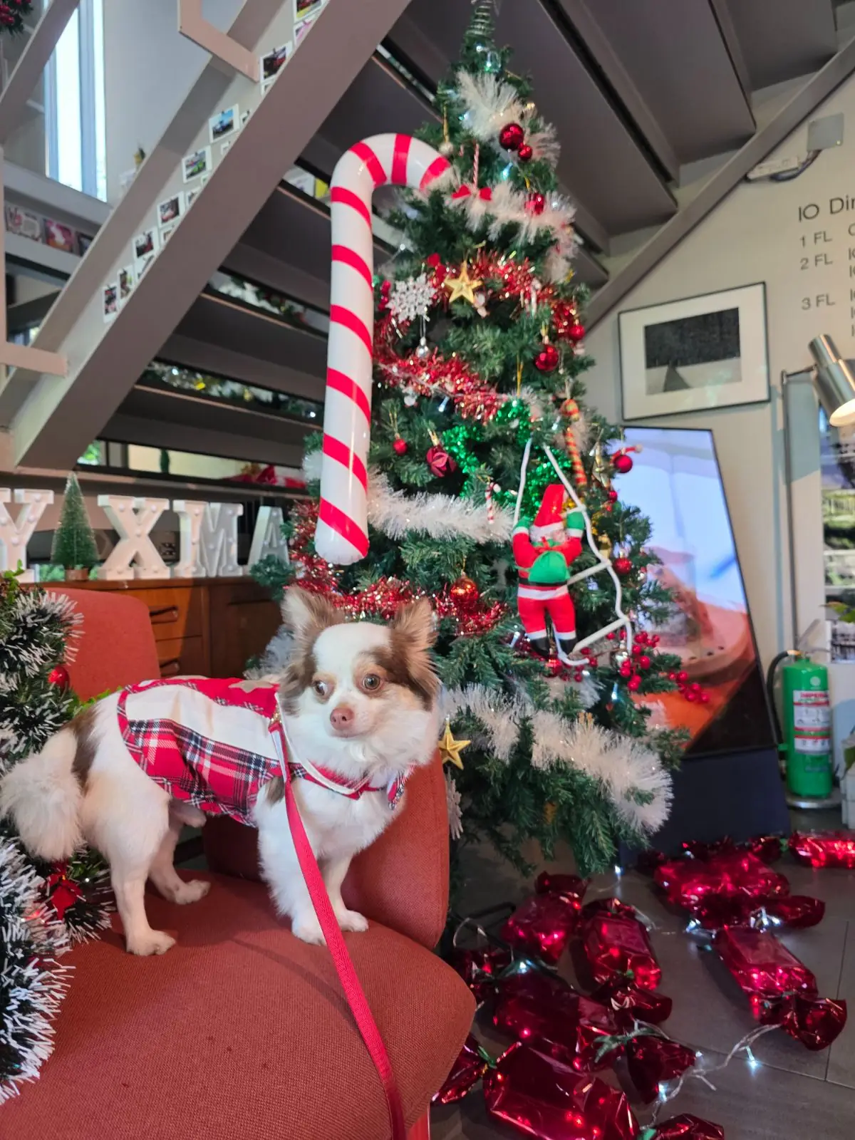 Don't drink other image 1