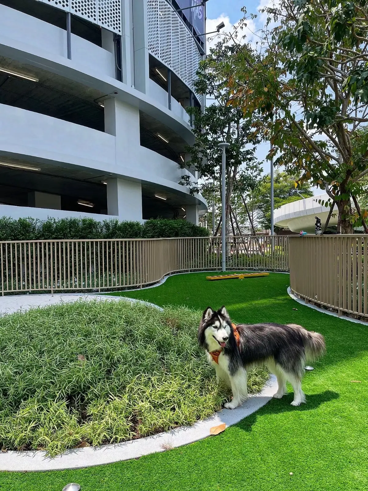 Future Park and Zpell pets image 2