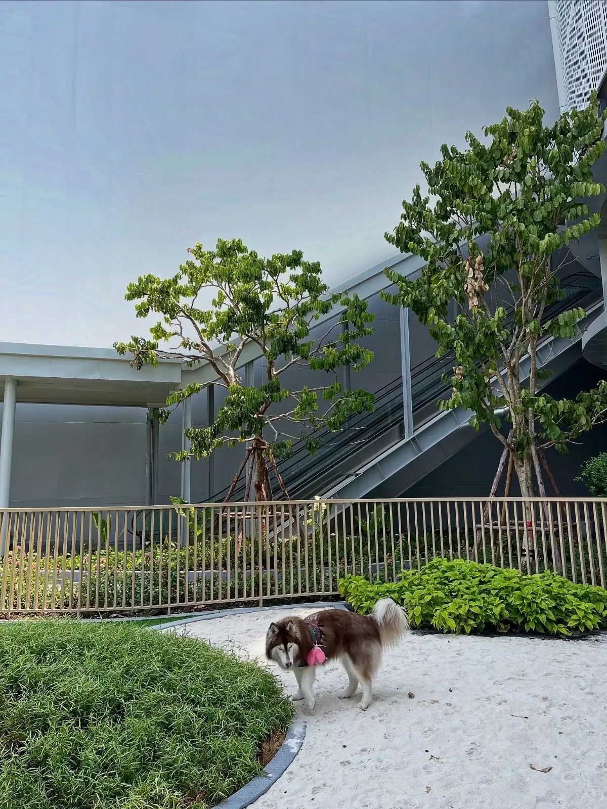 Future Park and Zpell pets image 1