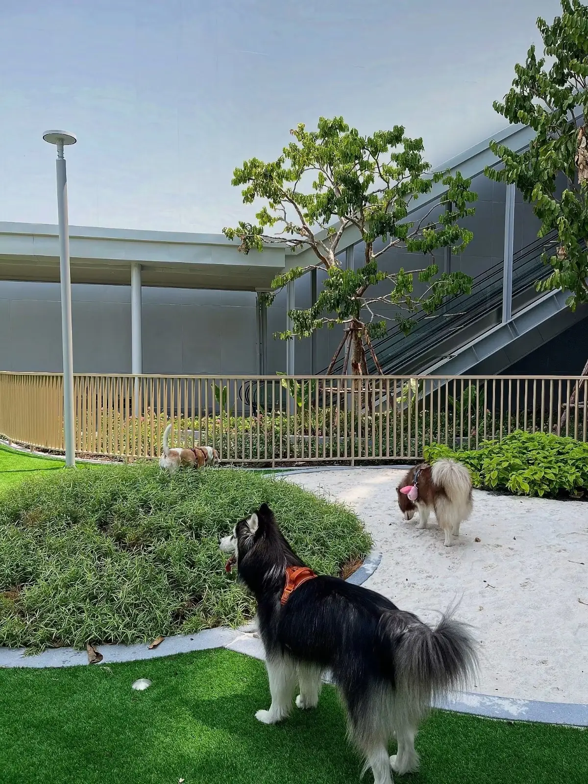 Future Park and Zpell pets image 3