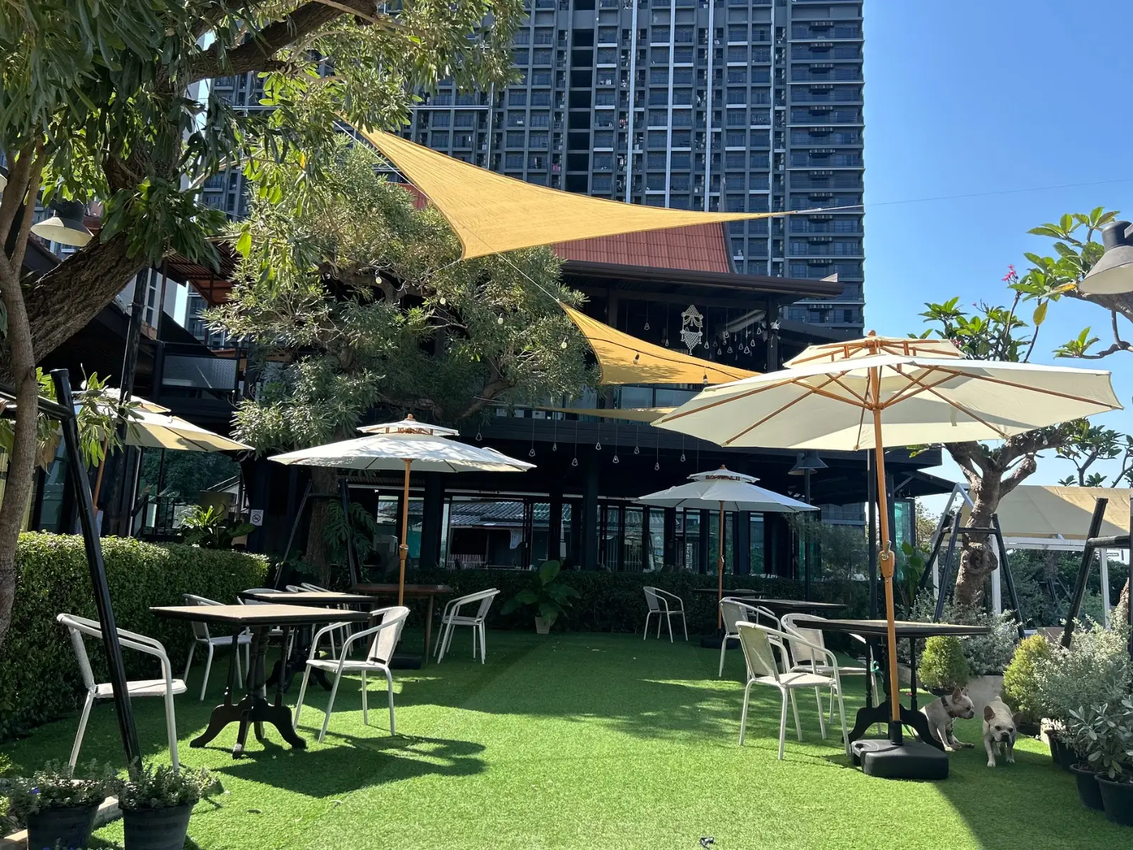 เรือนน้ำ ambiance image 1