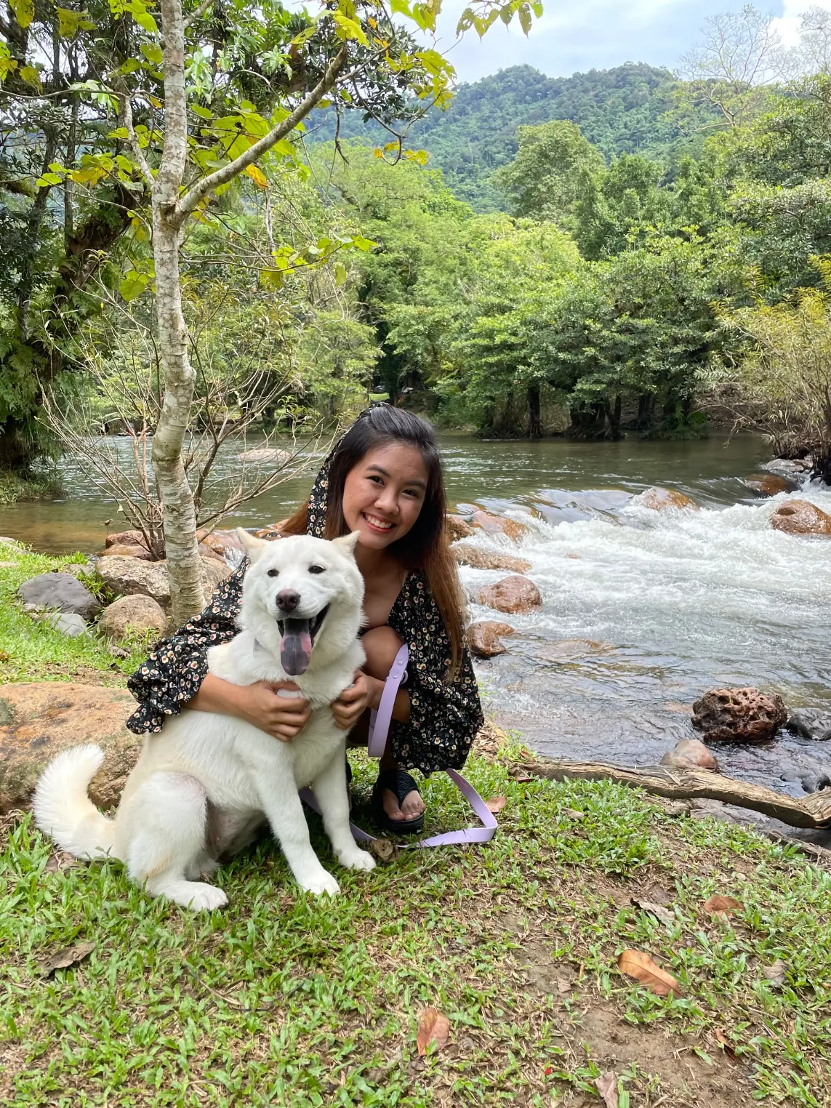 น้ำตกวังตะไคร้ pets image 3