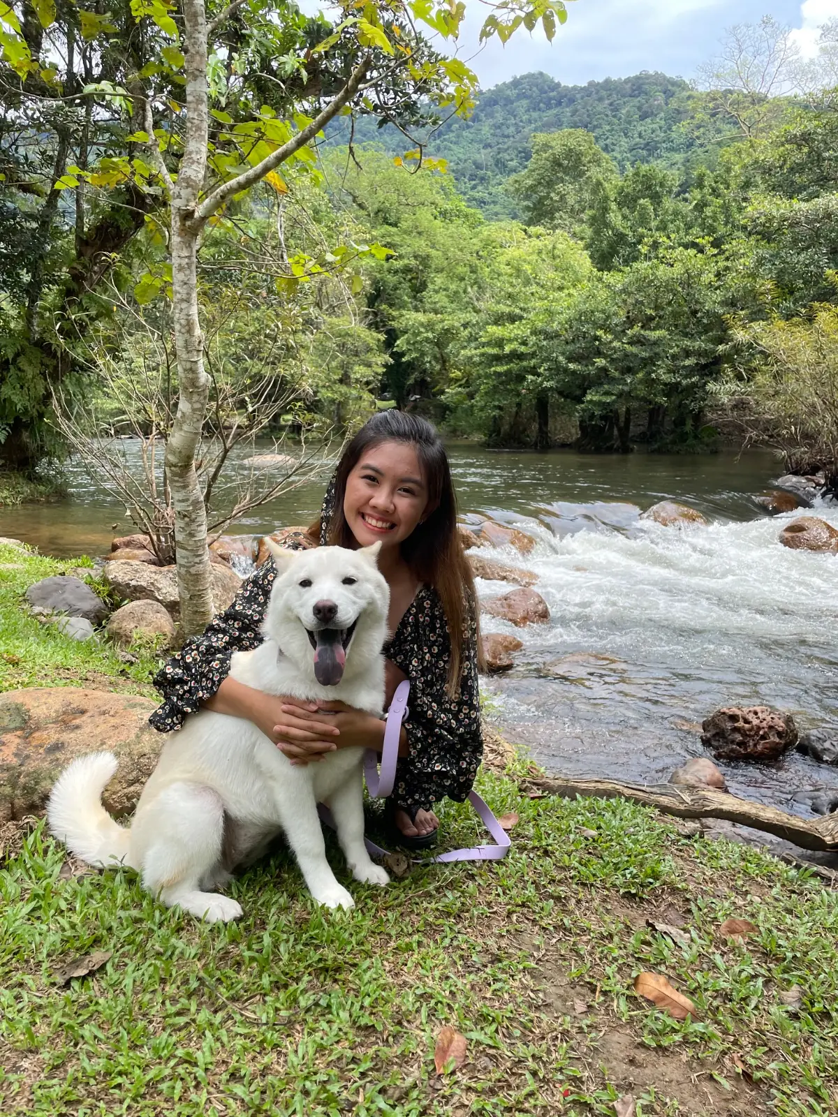 น้ำตกวังตะไคร้ pets image 2