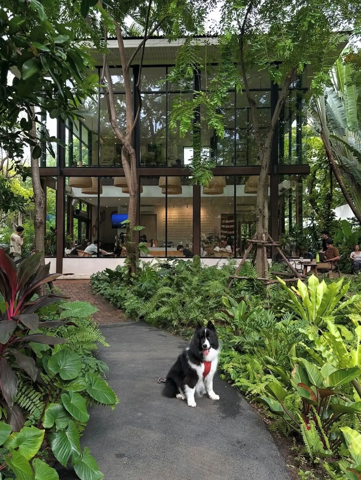 MiVana Coffee overall image 1