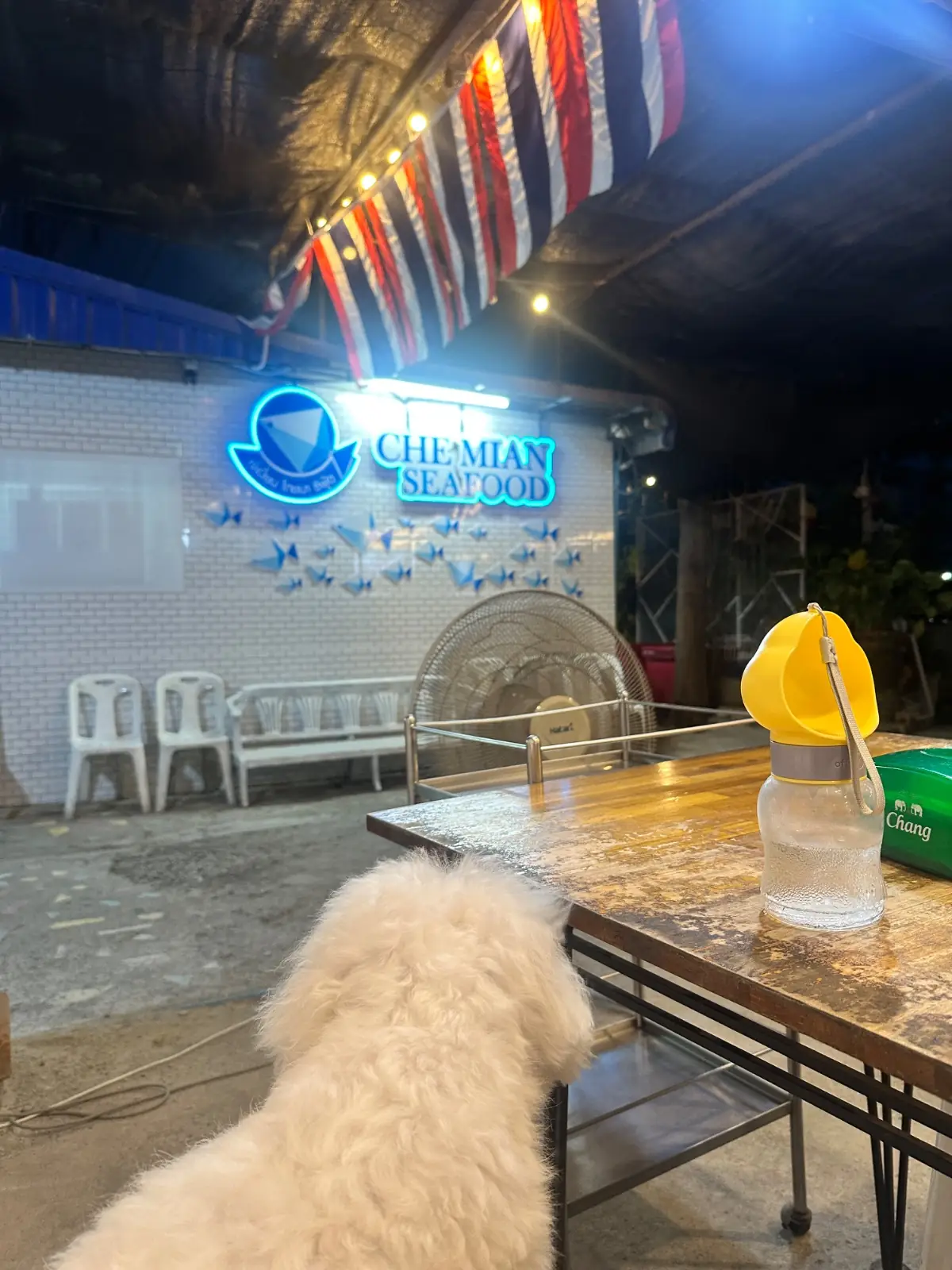 ร้านเจ๊เมี้ยน pets image 1