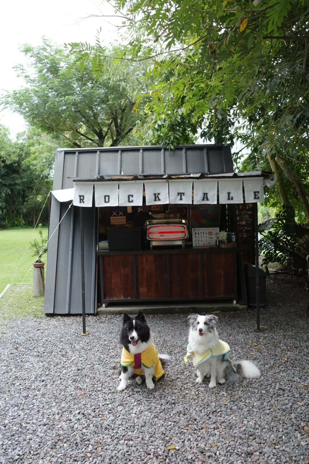 Rocktale Coffee Camp pets image 1