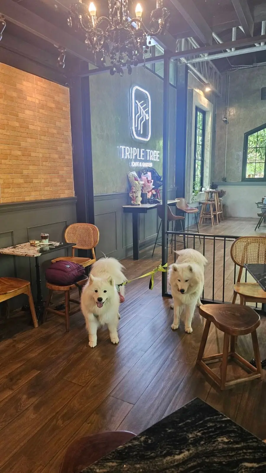 Triple Tree Cafe and Garden ambiance image 2