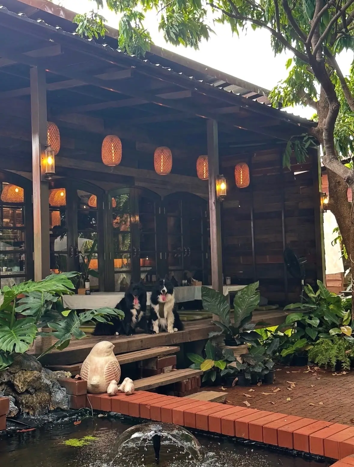 Timethai Craft&Cafe pets image 3