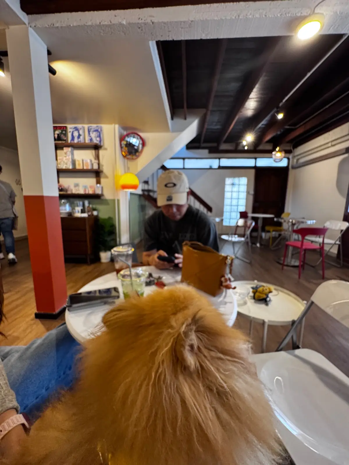 Ground Cafe pets image 5