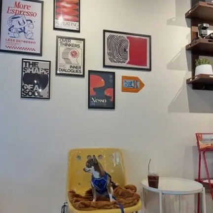 Ground Cafe pets image 4