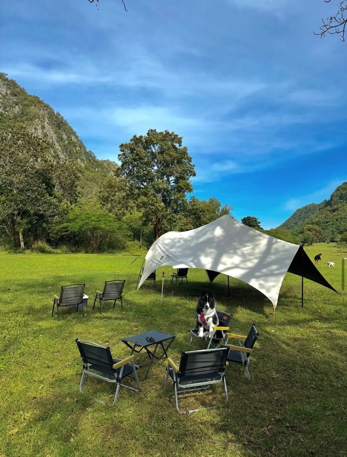 The Camp Roaster - Khaoyai overall image 2