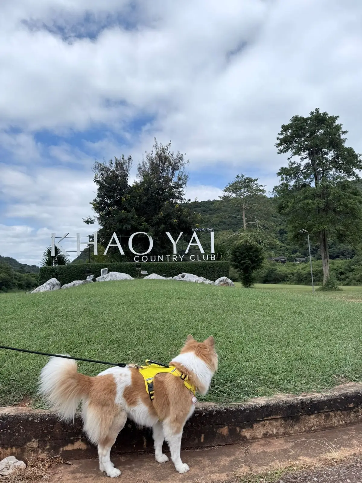 The Camp Roaster Khaoyai pets image 1