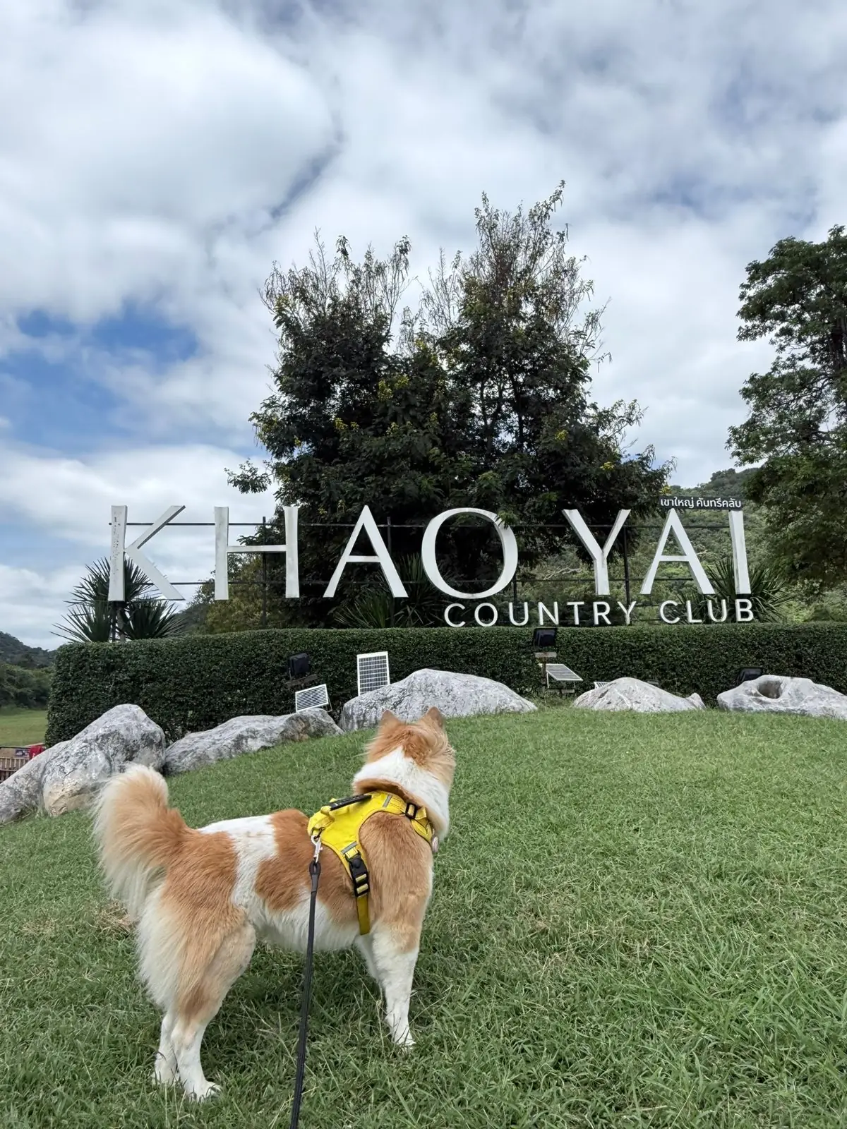 The Camp Roaster Khaoyai pets image 4