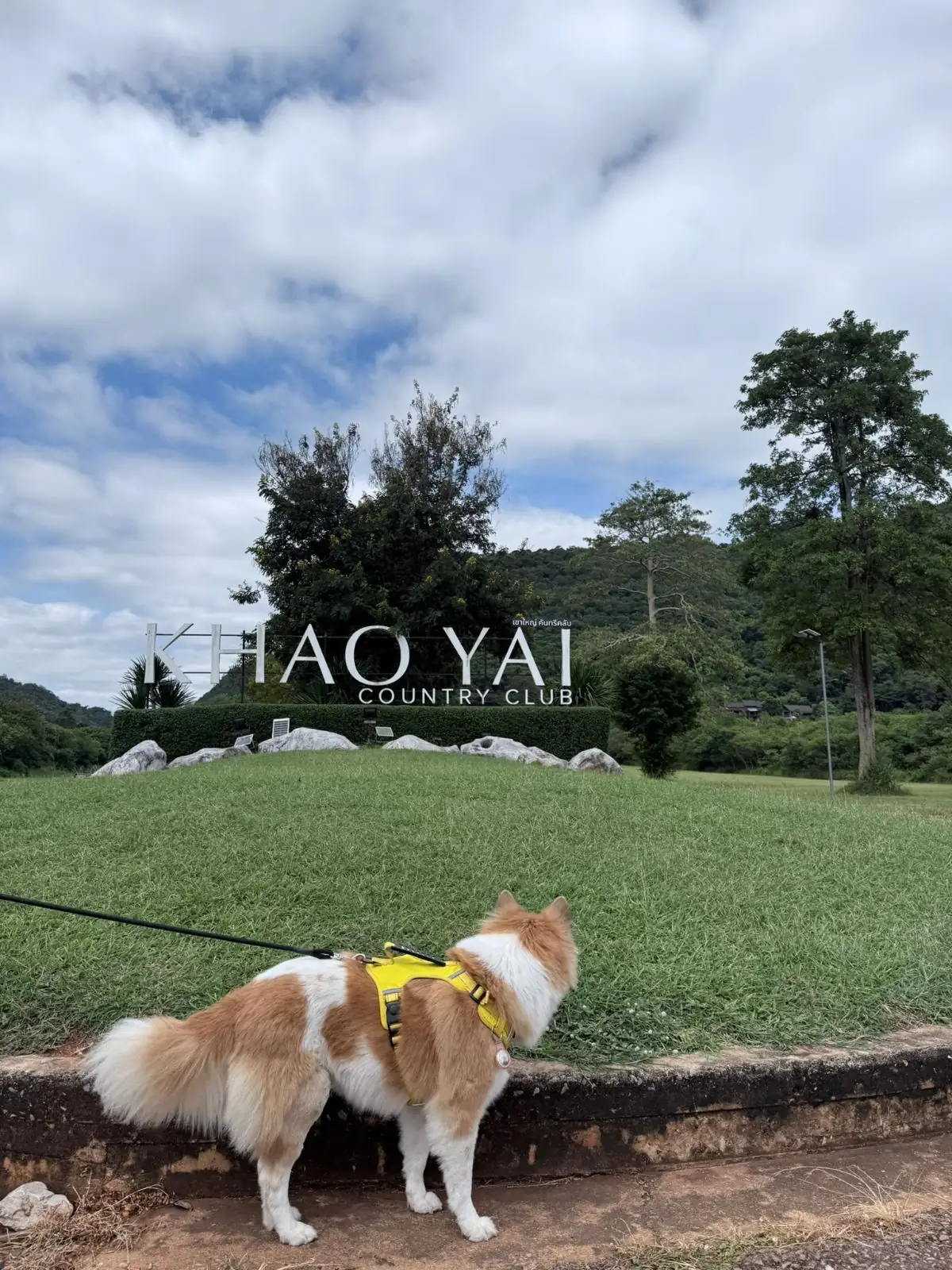 The Camp Roaster Khaoyai pets image 2