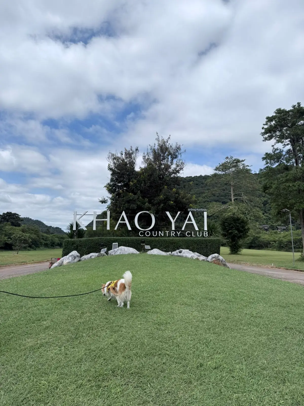 The Camp Roaster Khaoyai pets image 3