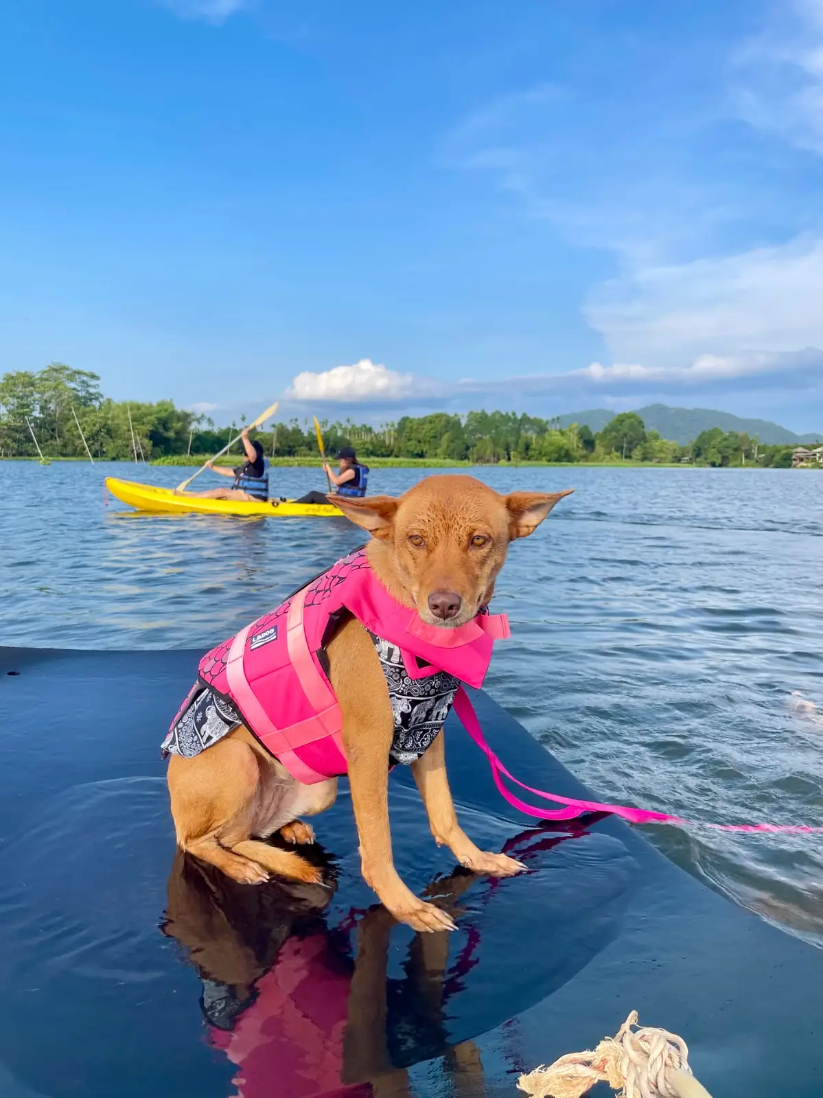 สายน้ำจันทร์ - Sainamchan Homestay hero image 4