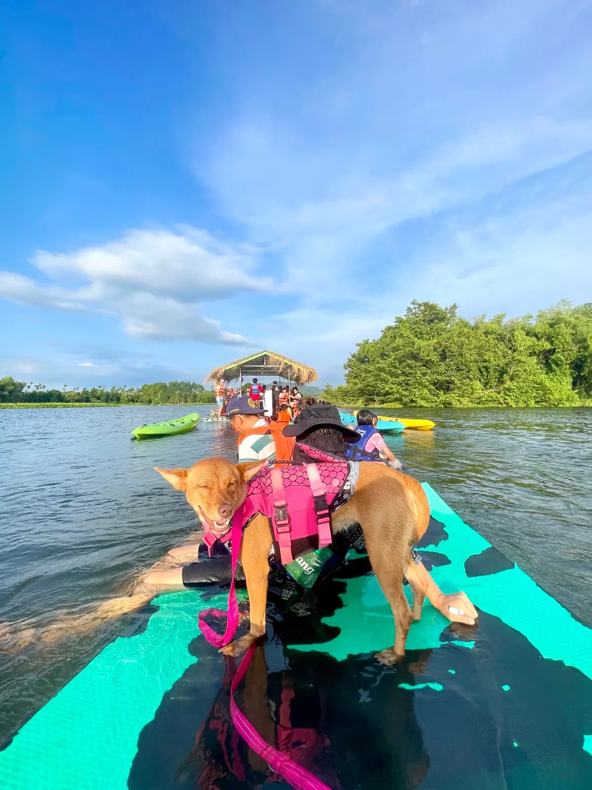 สายน้ำจันทร์ - Sainamchan Homestay pets image 1