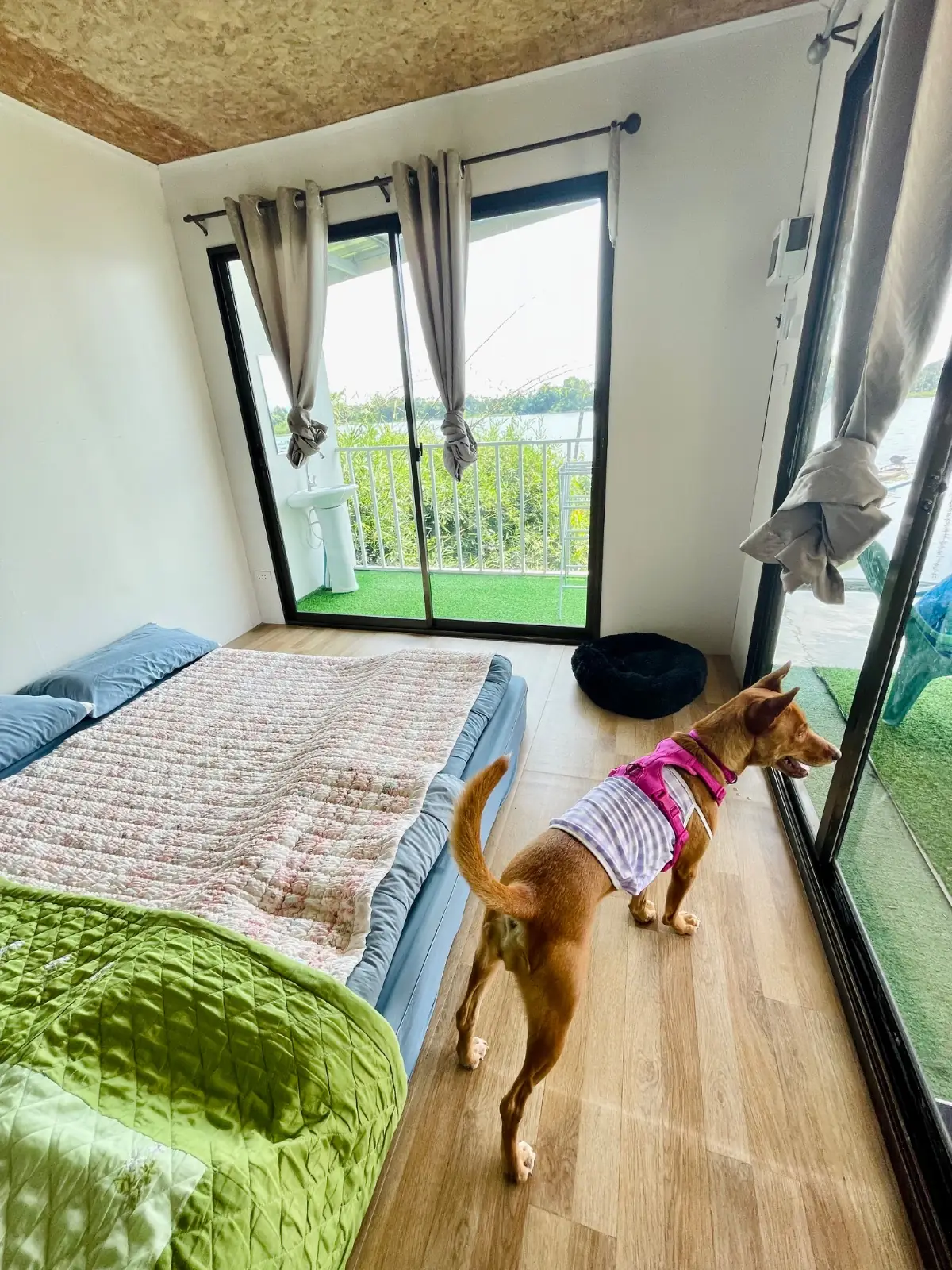 สายน้ำจันทร์ - Sainamchan Homestay pets image 4