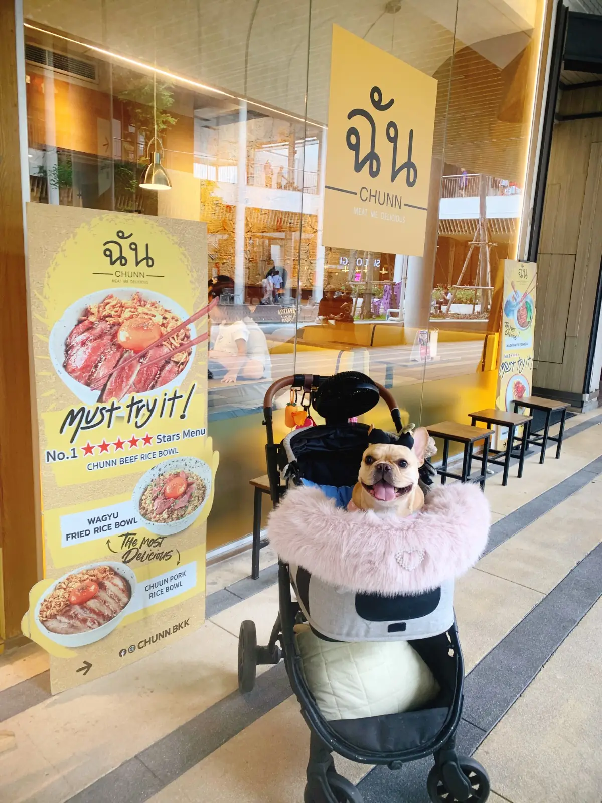 ฉัน - CHUNN - Mega Bangna pets image 2