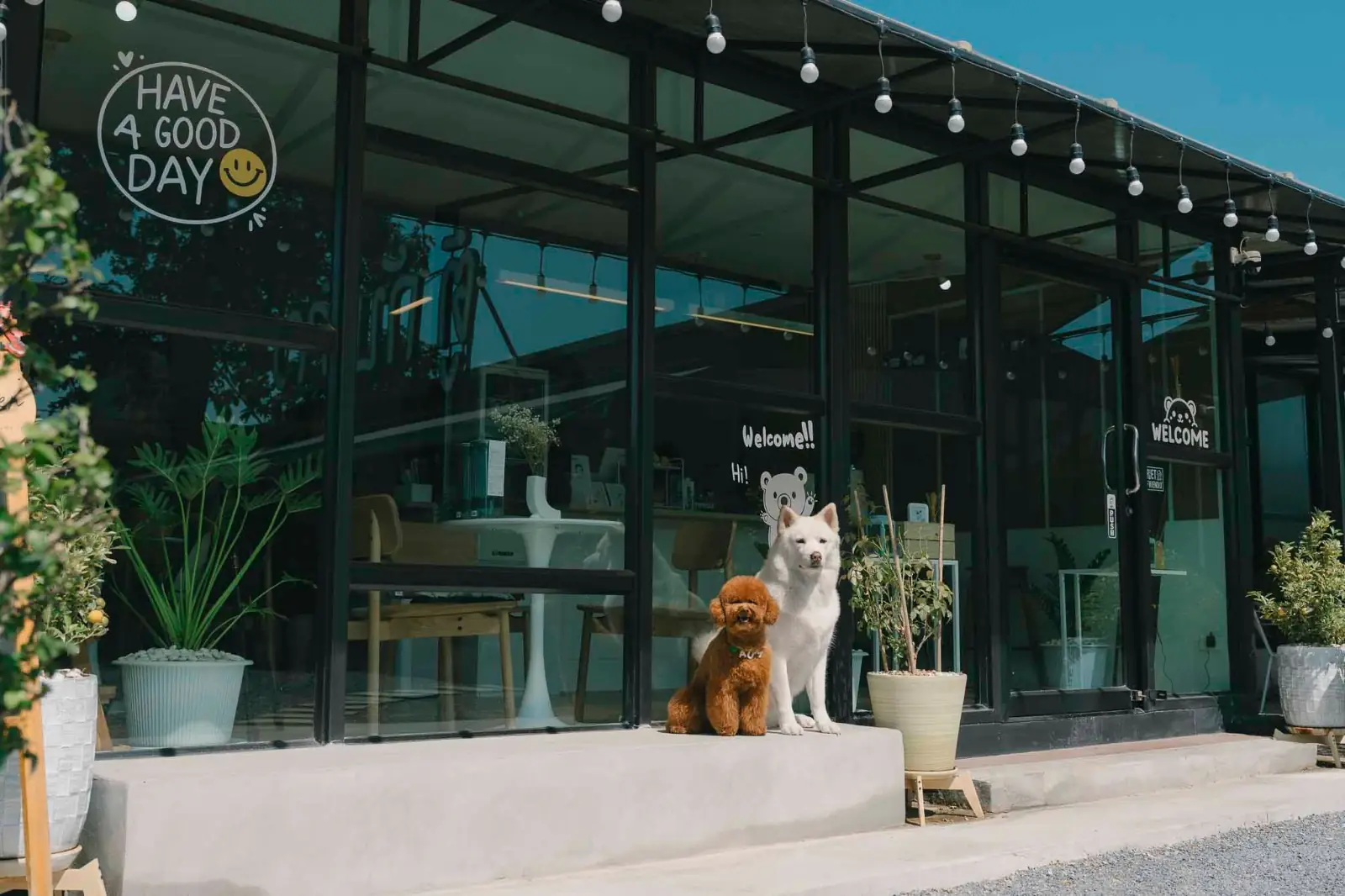 Slowbearbkk - เพชรเกษม 28 ambiance image 2