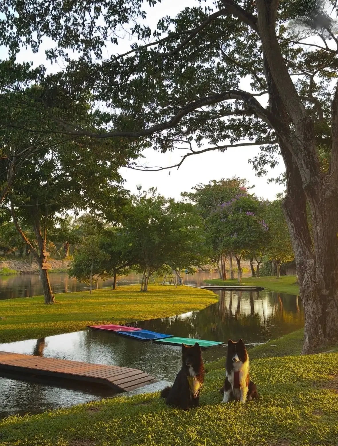 Bambusa Camp - Phetchaburi River amenities image 3