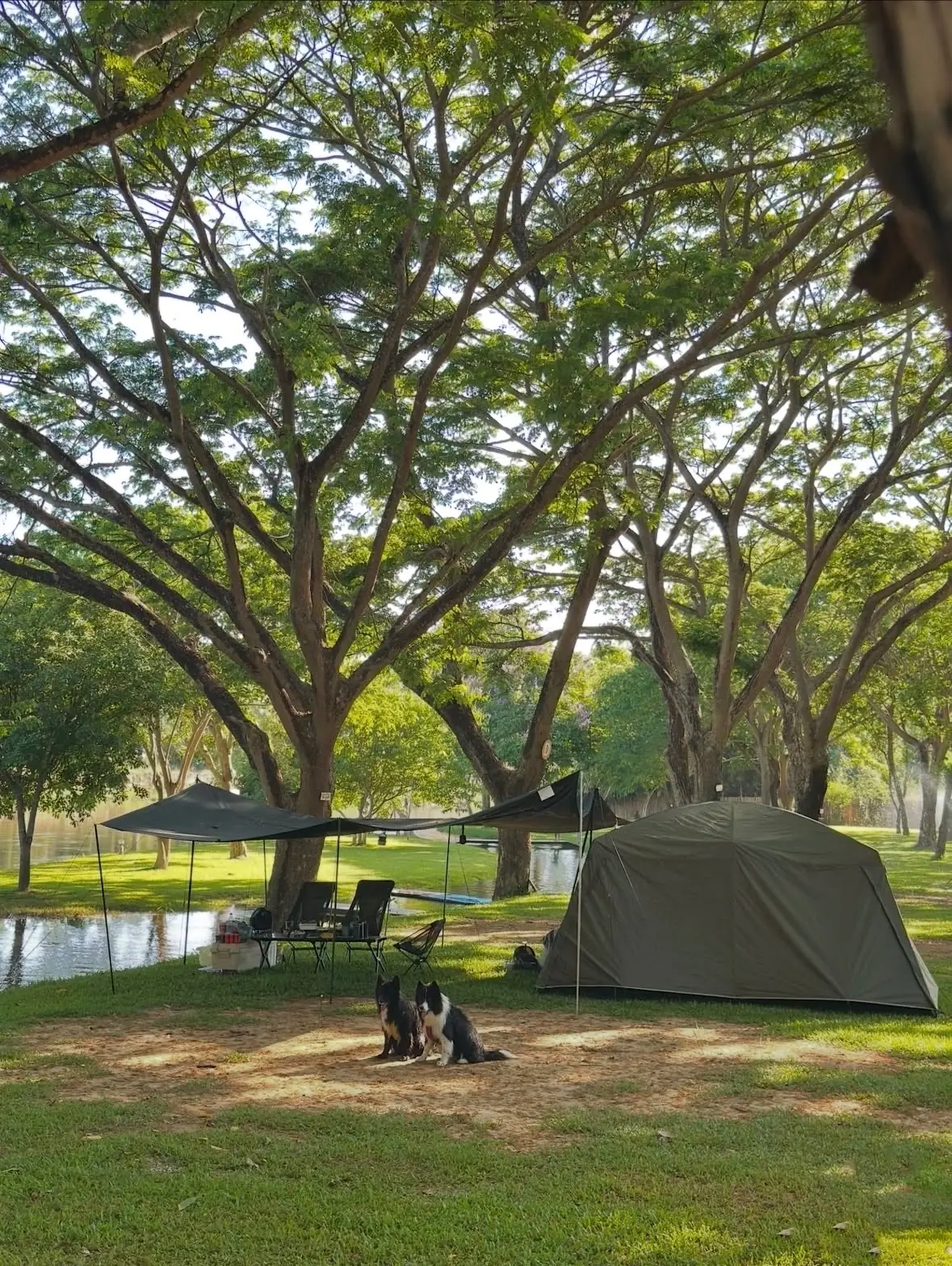 Bambusa Camp - Phetchaburi River amenities image 1