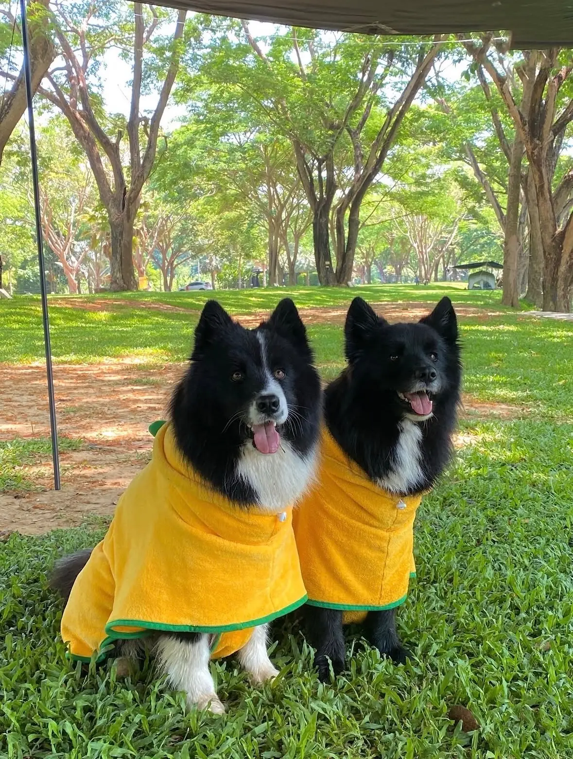 Bambusa Camp - Phetchaburi River pets image 1