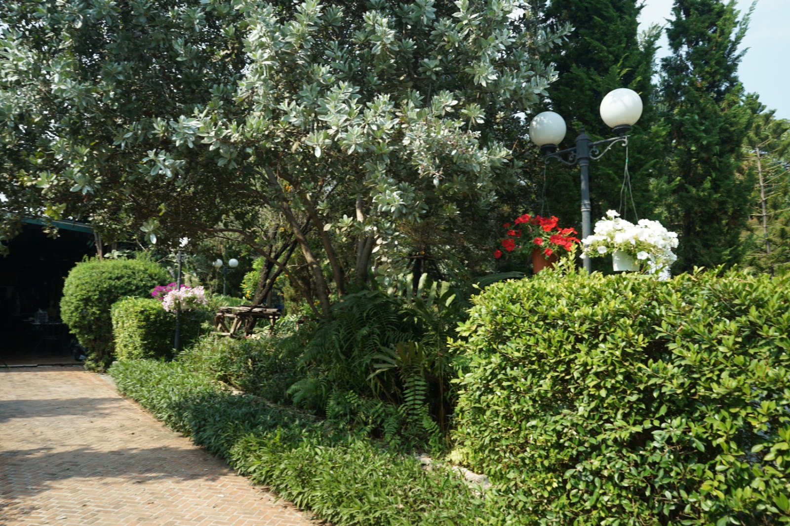 Ternajachob ambiance image 1