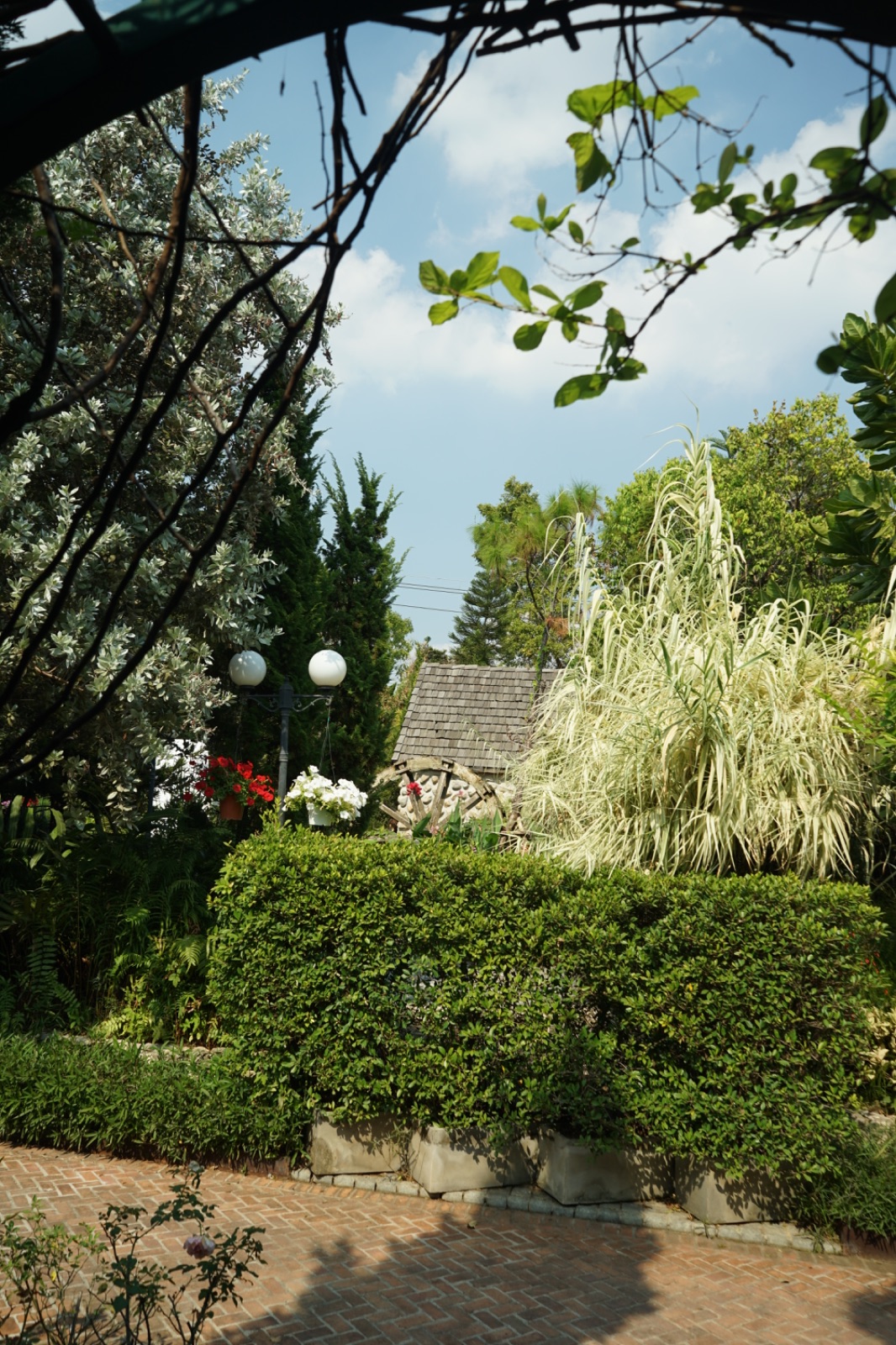 Ternajachob ambiance image 2