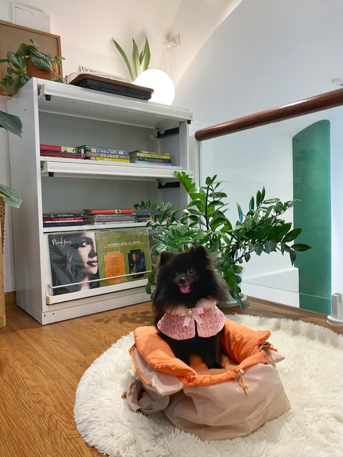 NORTHLANDTEA pets image 6