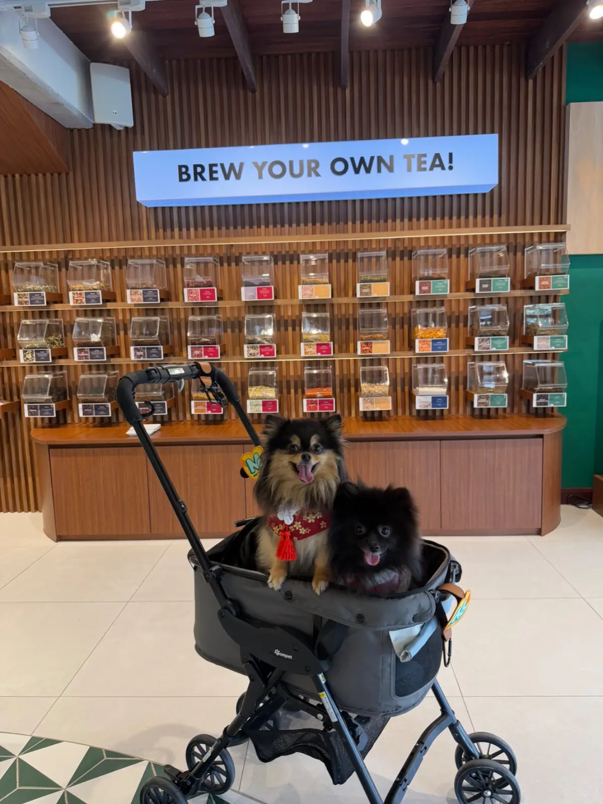 NORTHLANDTEA pets image 2