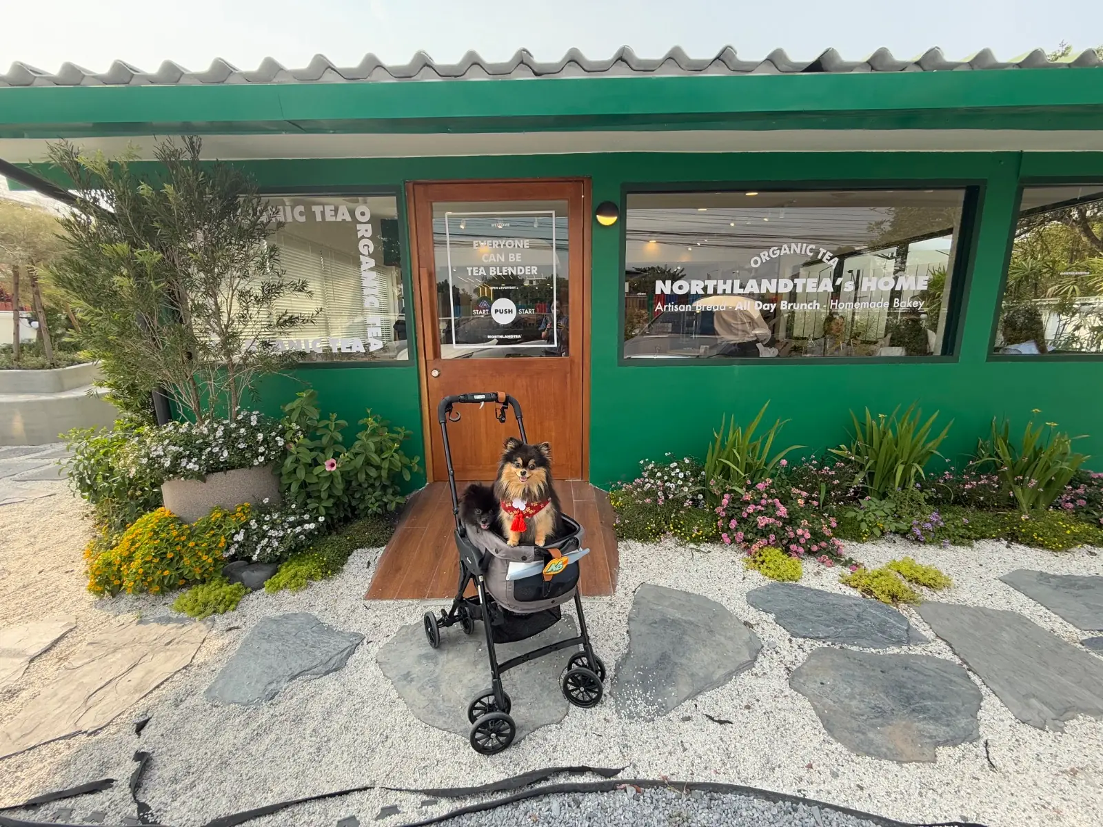 Northland Tea - JJ Mall overall image 2