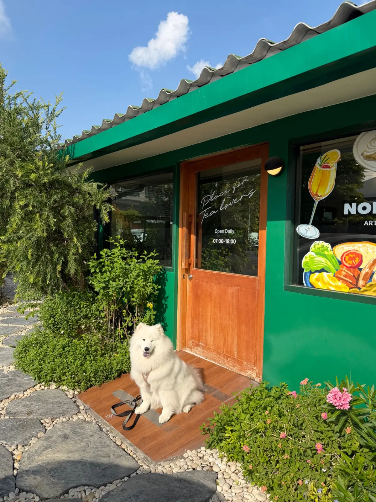 Northland Tea - JJ Mall overall image 3