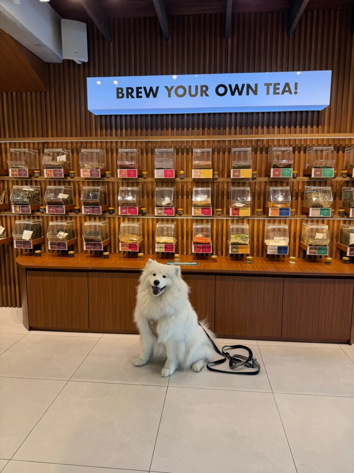 Northland Tea - JJ Mall pets image 1