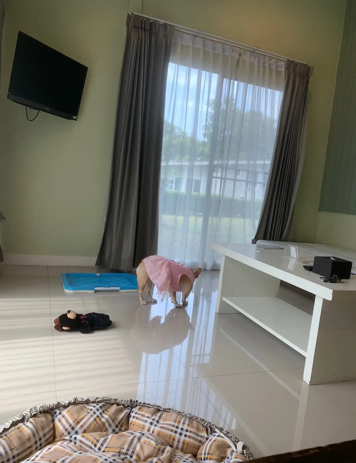 Bangsaen Heritage Hotel pets image 2