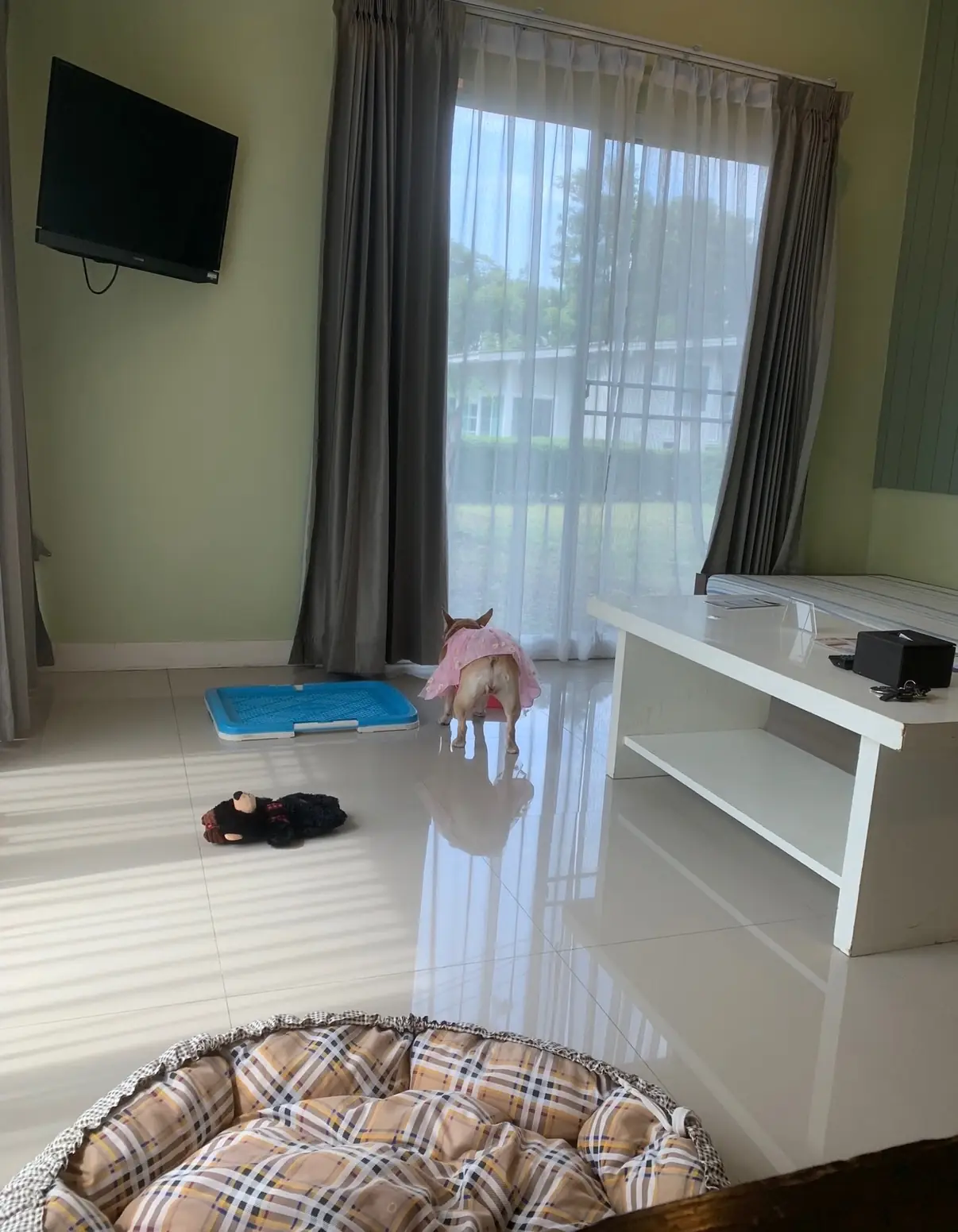 Bangsaen Heritage Hotel pets image 1