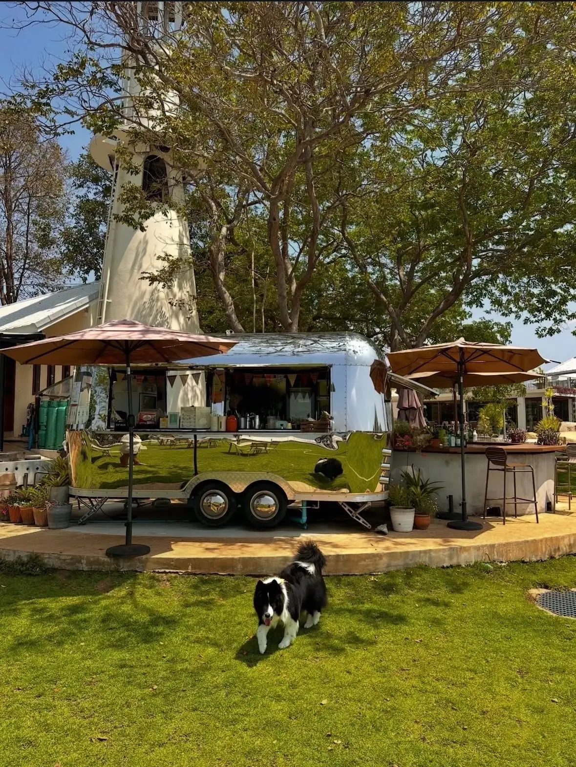 Sunset Bay Thachalabe pets image 2